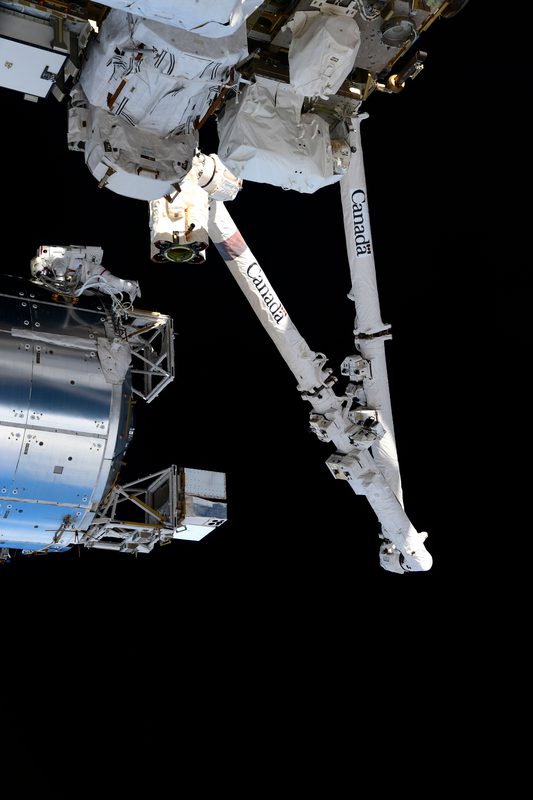 Astronaut Mike Hopkins (red stripe) spacewalk during Expedition 064